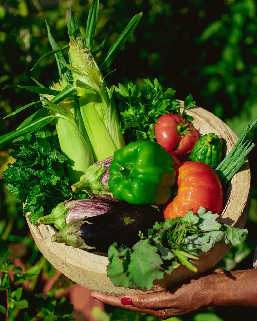 Panier de légumes bio Panier de légumes bio de saison avec courgettes, tomates et carottes
