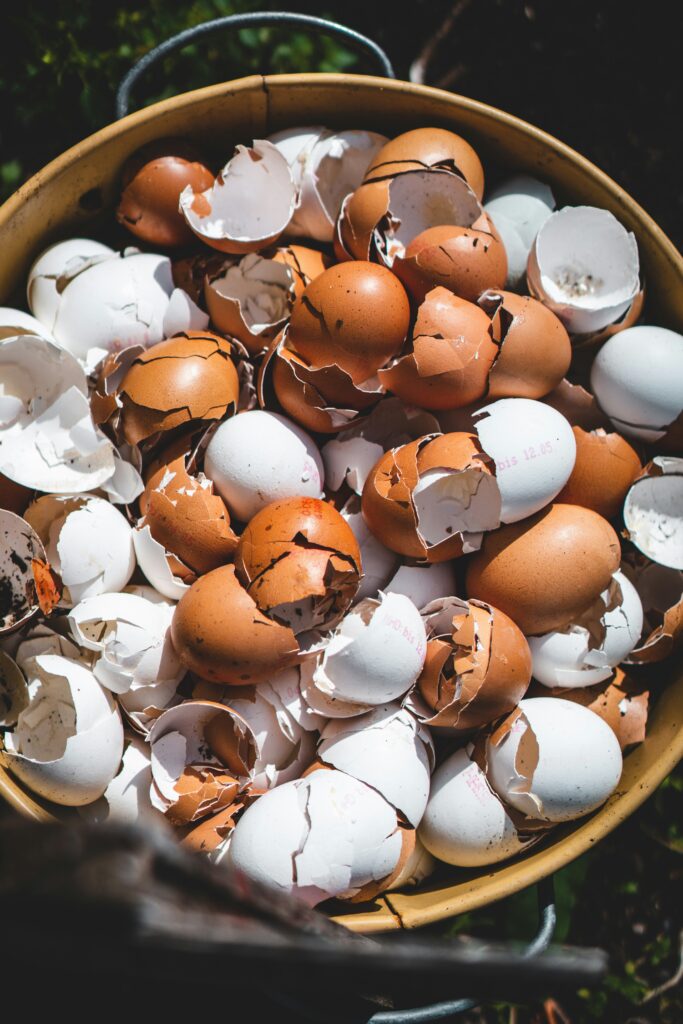 Techniques de Compostage pour un Sol Fertile compostage coquilles oeufs